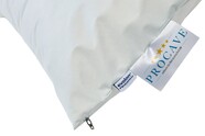 Encasing