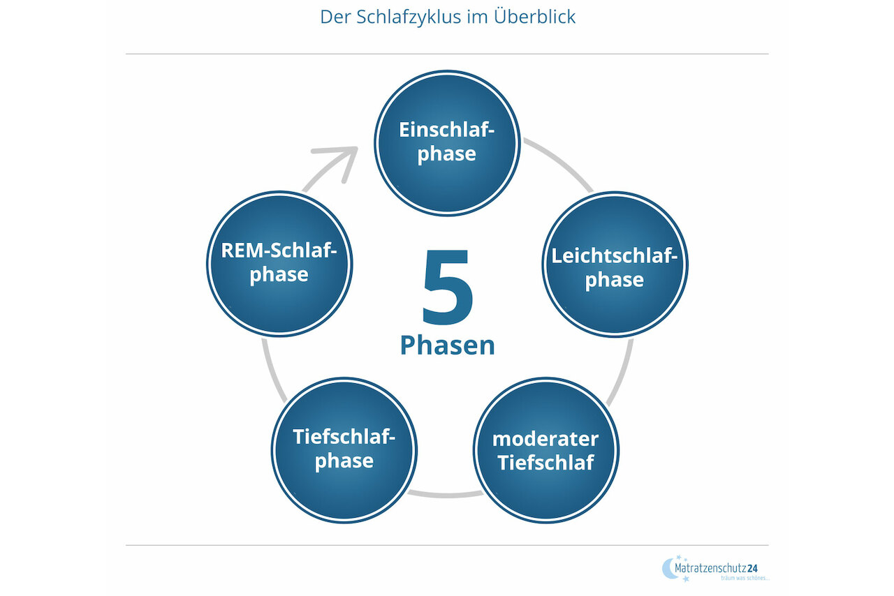 Schlafzyklus im Ueberblick