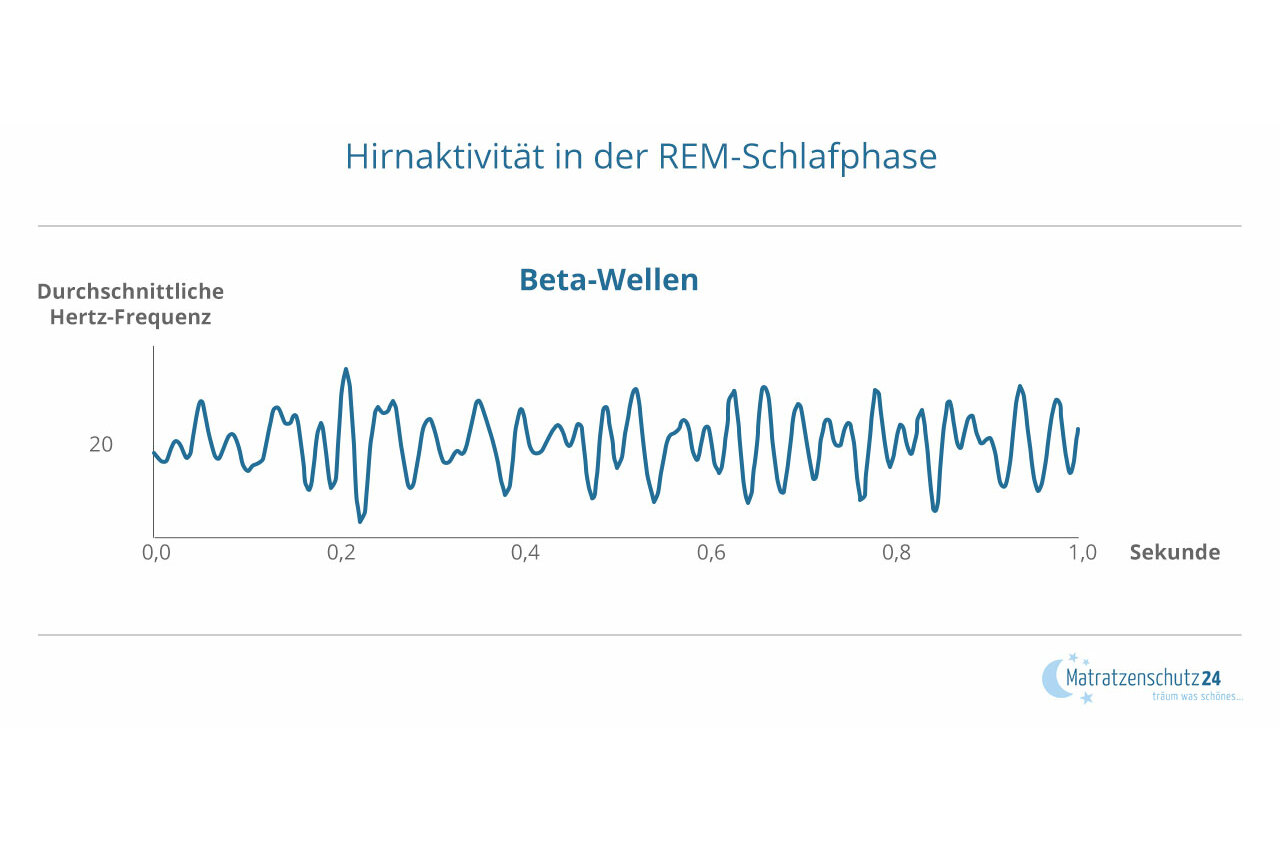 Hirnwellenaktivitaet in der REM Schlafphase