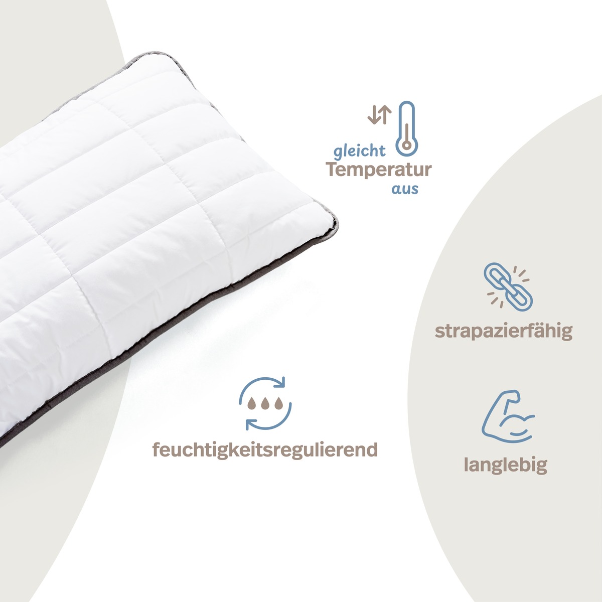 PROCAVE OBJEKT Kopfkissen kochfest in Hotel-Qualität — Infografik: gleicht Temperatur aus, feuchtigkeitsregulierend, strapazierfähig, langlebig